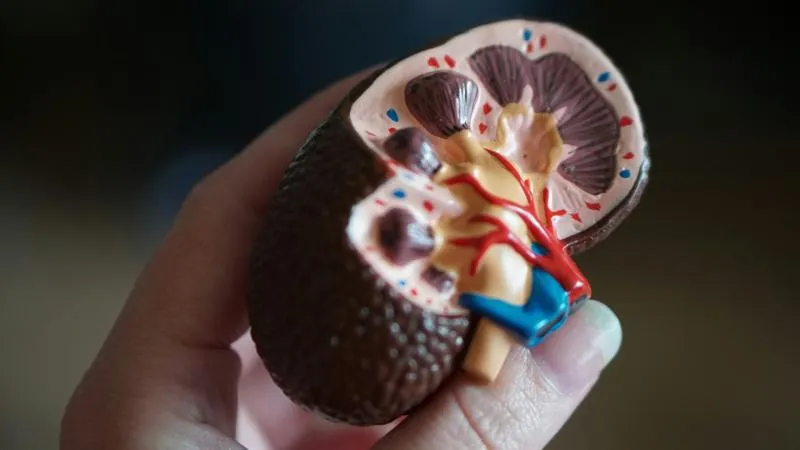 TURBT، استئصال ورم المثانة عبر الإحليل