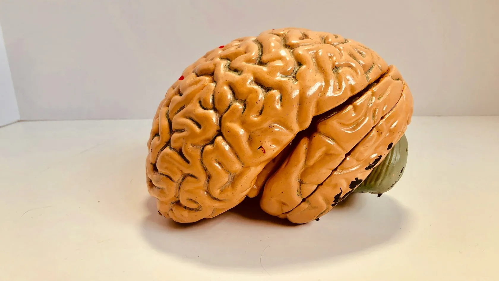 جراحة الدماغ والأعصاب للأطفال
