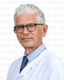 الأستاذ الدكتور Hilmi APAK